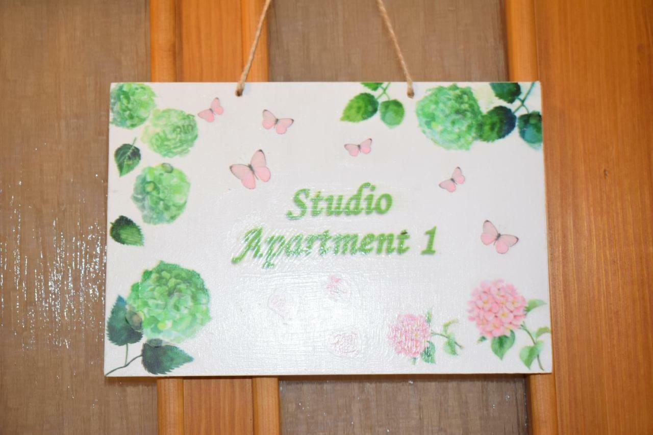 Apartments Sara ポドストラナ エクステリア 写真